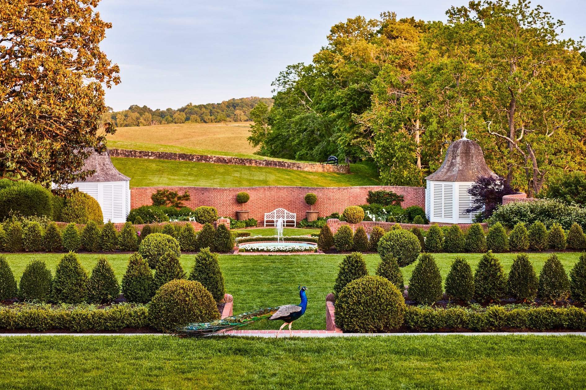Manicured estate
